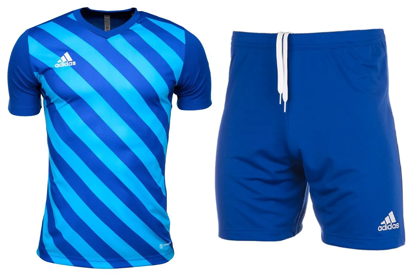 adidas Kinder Sport-Set T-shirt Kurze Hose Entrada 22 Graphic Jersey HF0130/HG6291