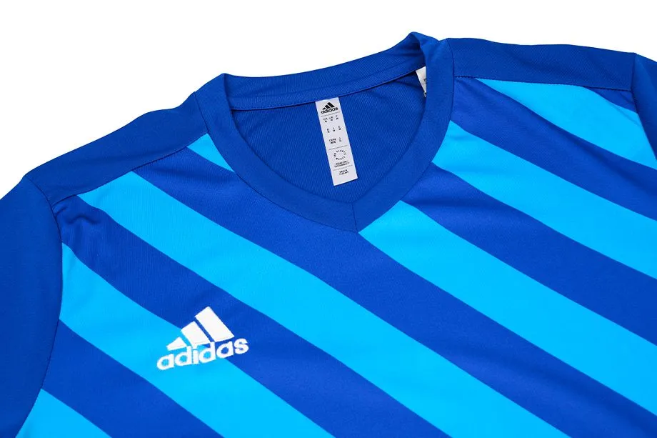 adidas Kinder Sport-Set T-shirt Kurze Hose Entrada 22 Graphic Jersey HF0130/HG6291