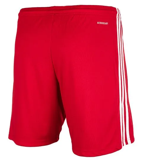 adidas Kinder Sport-Set T-shirt Kurze Hose Squadra 21 Jersey GN5741/GN5761